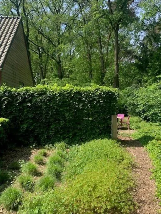 Vakantiewoning De Stevert Βίλα Steensel Σπίτι διακοπών