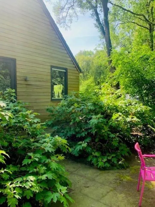 Vakantiewoning De Stevert Villa Steensel Vakantiehuis